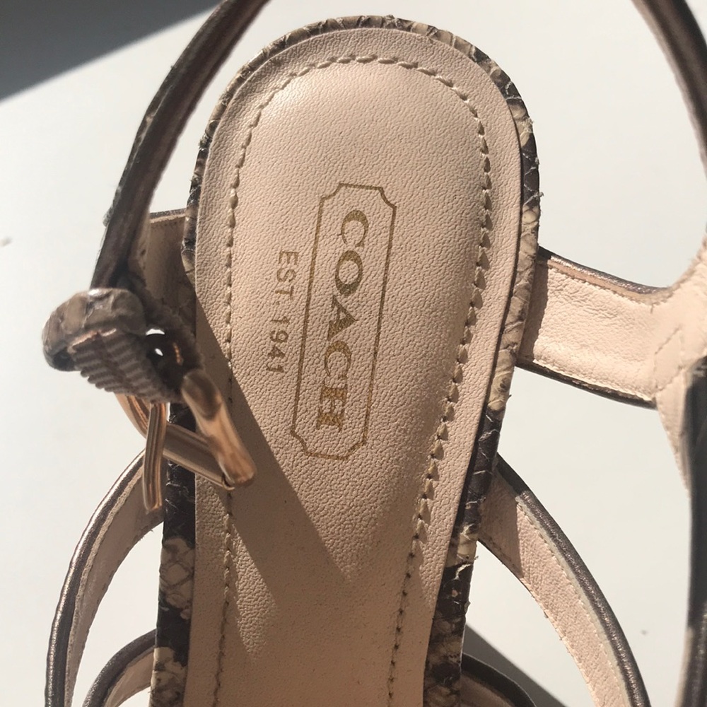 Coach Python Snakeskin Platform Heels - image 5